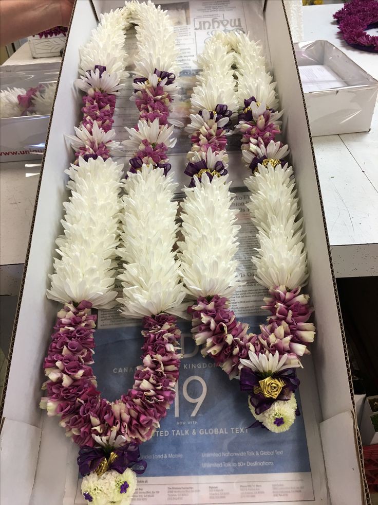 Orchid Majesty