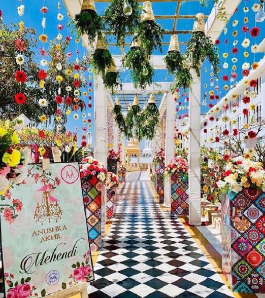 Timeless Petal Way