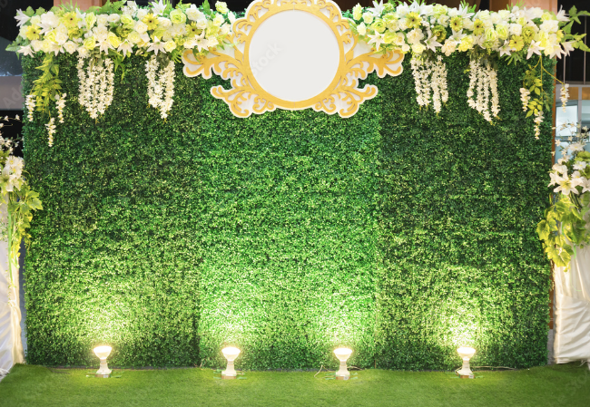 Ivory Elegance