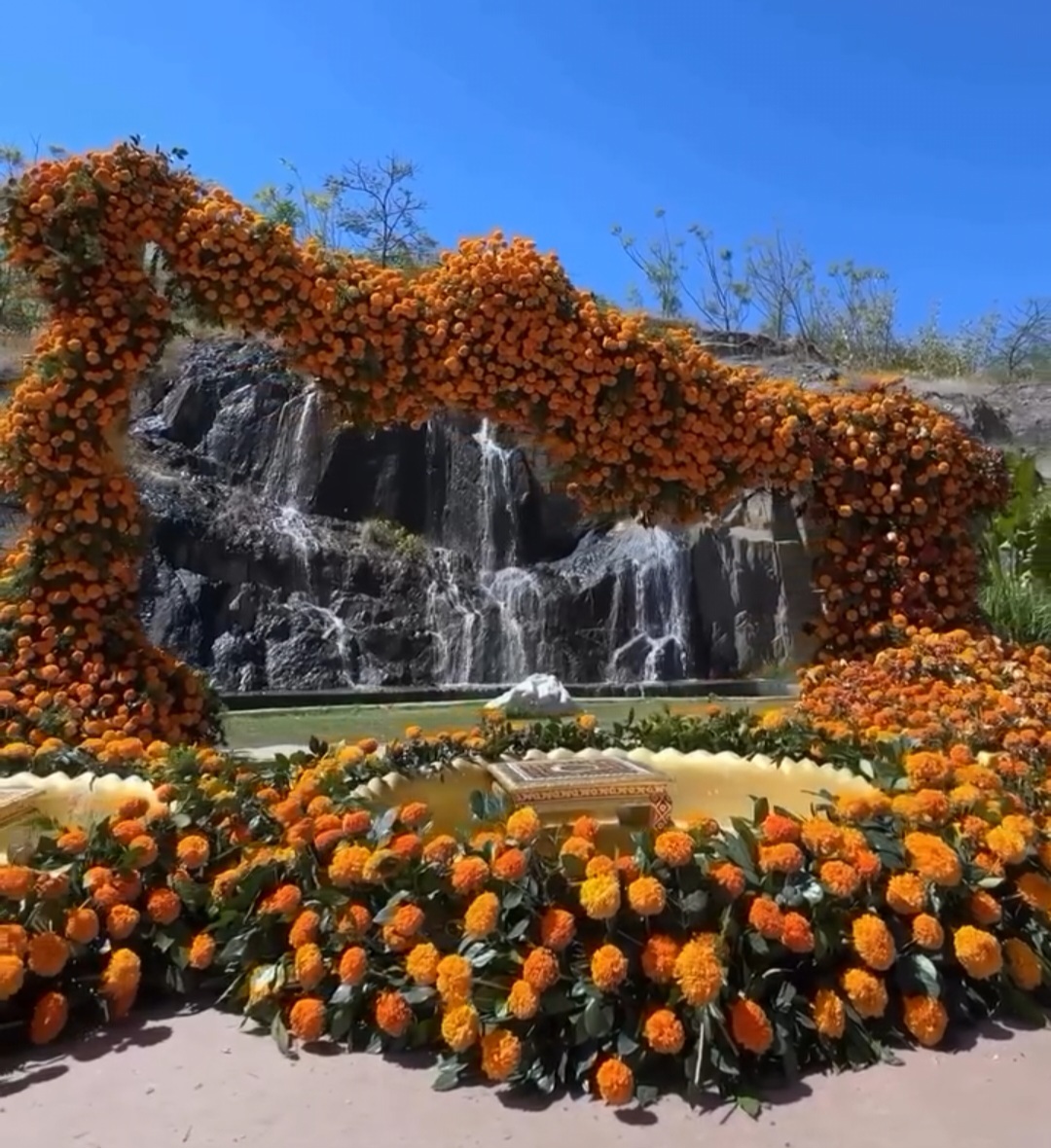 Marigold Mirage