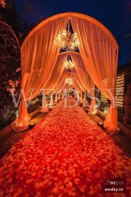 Enchanting Vine Glow — orange modern pathway for wedding, Wedsy PA017