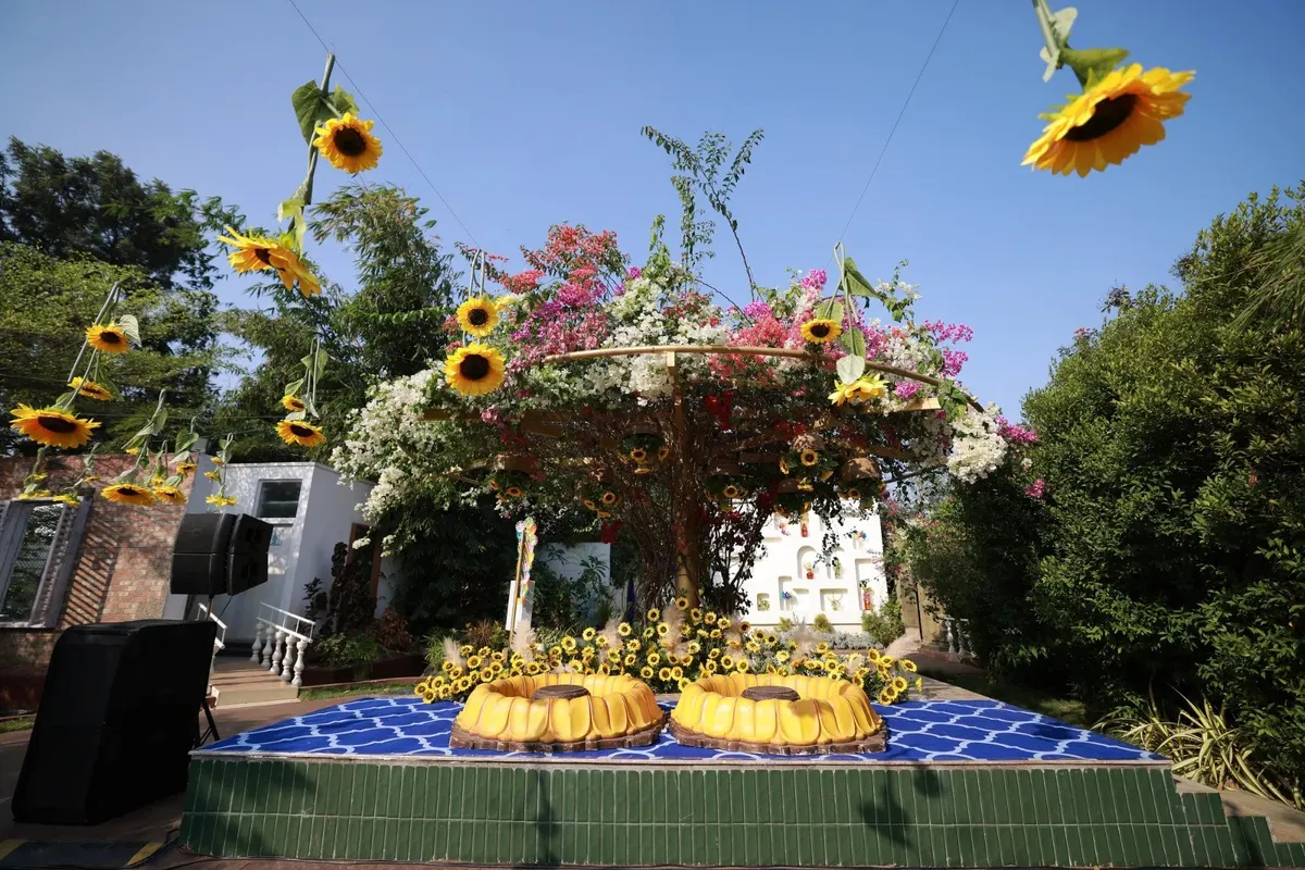 Bougainvilla Celebrate Luxury, photo 3