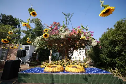 Bougainvilla Celebrate Luxury, photo 3