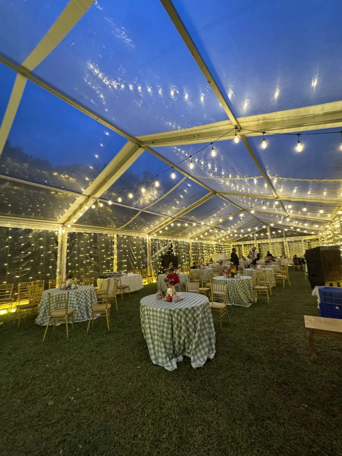 Bougainvilla Celebrate Luxury, photo 5