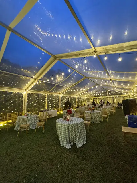 Bougainvilla Celebrate Luxury, photo 5