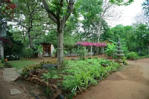 The Palash, photo 3