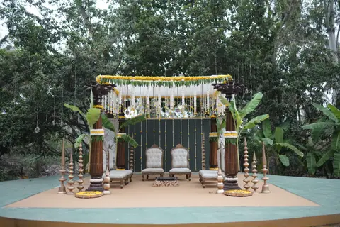 The Palash