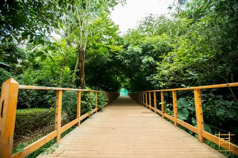Area 83