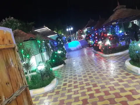 Golden Green Palace